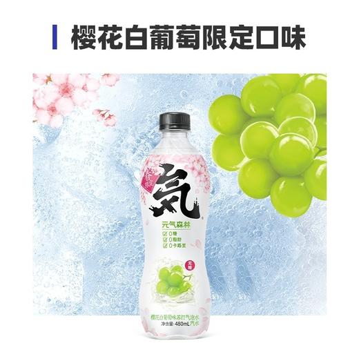 【批发】元气森林樱花白葡萄味苏打气泡水480ml*15 商品图3
