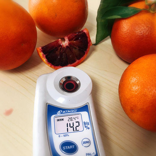 玫瑰血橙 商品图7