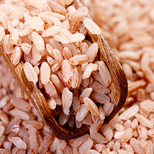 普洱红米500g/盒 商品图0