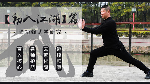 【初入江湖】--陆功翰武学研究 商品图0