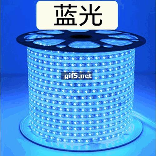 光带 暖+兰 5730 （12MM-120P） 商品图0