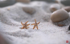 要象小海星一样夸赞朋友喔