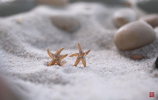 要象小海星一样夸赞朋友喔 商品图0