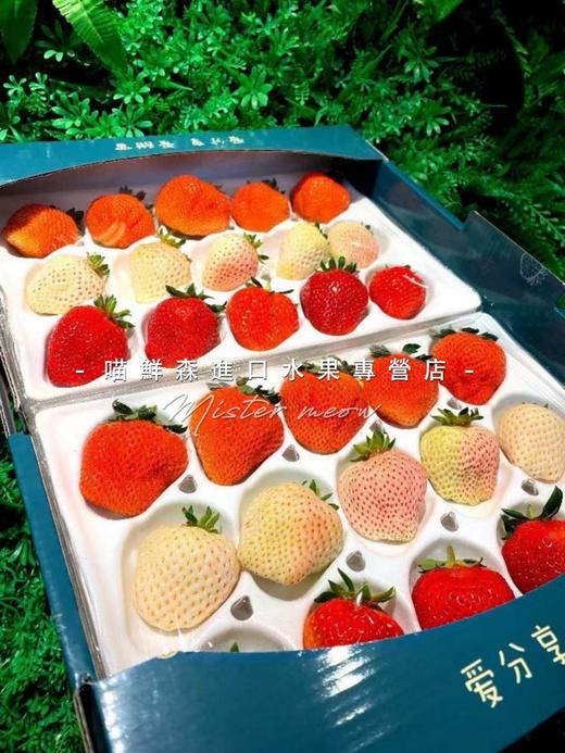 三色草莓🍓礼盒💝（红颜+粉淡雪+白天使）一套2盒（30枚） 商品图11