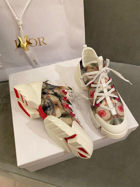 Dior老爹鞋-如图款