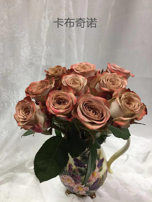 玫瑰·卡布奇诺 商品图3