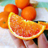 玫瑰血橙 商品缩略图5