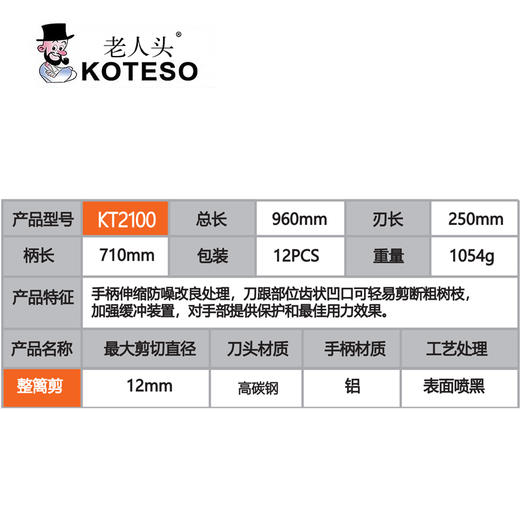KT2100十寸直刀伸缩整篱剪 商品图1