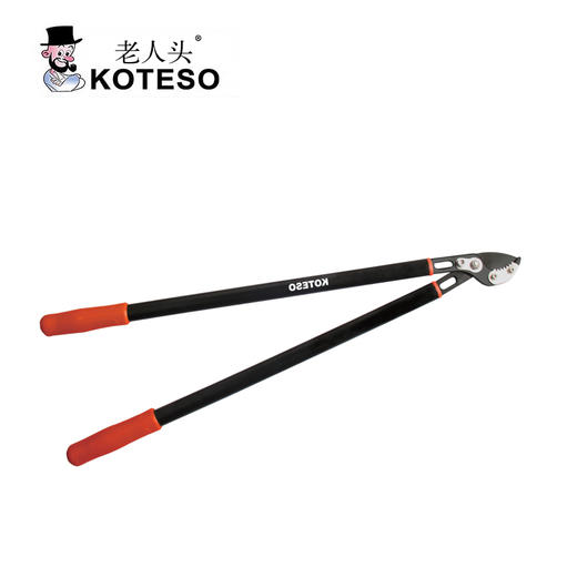 KT131（鹰嘴大力士） 商品图0