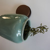 【龙门秘境】--绿茶 商品缩略图0