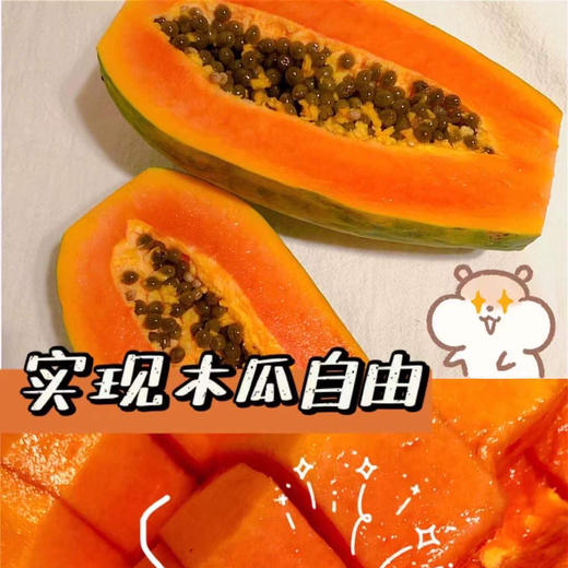 【红瓤香甜自然熟】海南厚切木瓜 商品图2