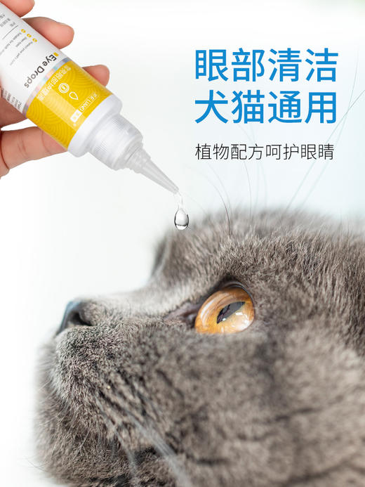 狗狗猫咪滴眼液日常护理清洁宠物专用泪痕消比熊博美幼犬猫咪眼药水