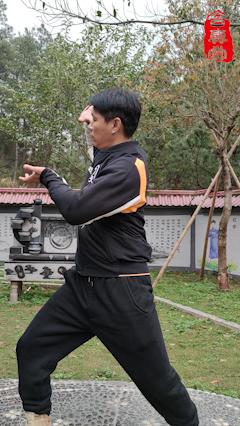 怎样练麻姑献寿调理肩周炎|正骨和运动康复专家游老师 商品图0