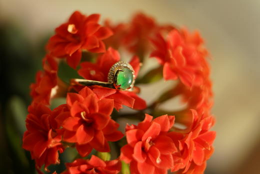 青翠欲滴｜翡翠 商品图2