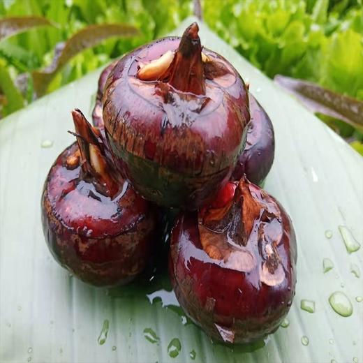 现挖广西荔浦马蹄荸荠3斤/5斤   顺丰快递 商品图4