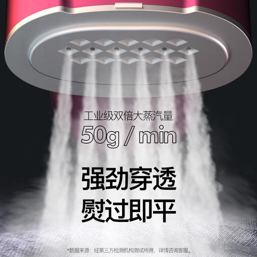 德国TINME手持挂烫机家用小型便携式蒸汽熨斗差旅迷你熨烫机 商品图1