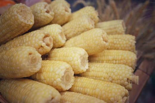 有机甜糯玉米棒10只 宁夏沙漠玉米 带皮蒸食 商品图0