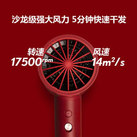 APIYOO艾优负离子SUP吹风机女家用电吹风大功率不伤发【艾优】