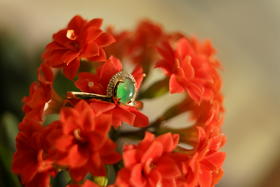 青翠欲滴｜翡翠