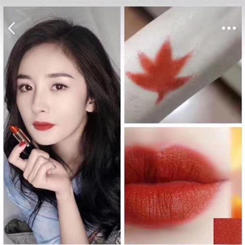 雅诗兰黛口红333# 干枫叶色 商品图2