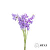 配花|香豌豆浅紫 商品缩略图8