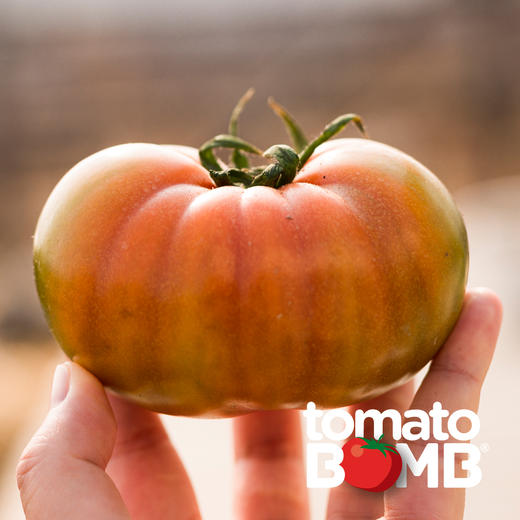 碱地番茄酸甜浓郁口感脆弹 建议生吃收到即食 绿色食品认证 圆通快递 商品图11