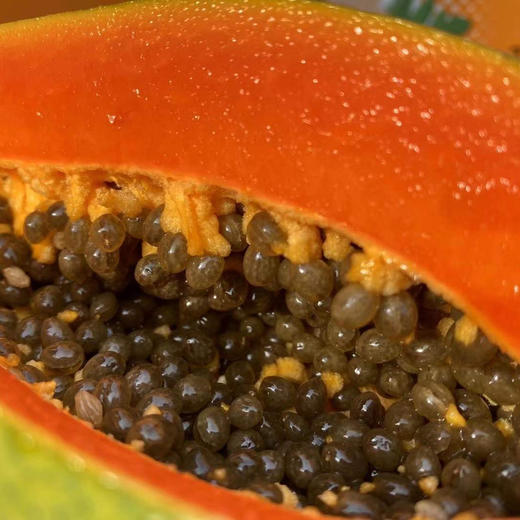 【红瓤香甜自然熟】海南厚切木瓜 商品图9