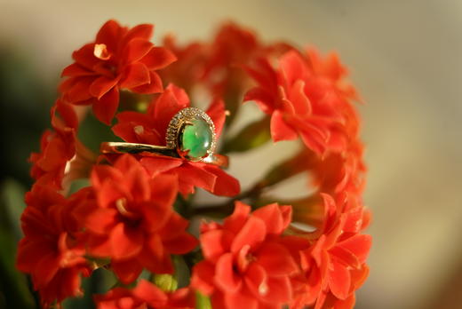 青翠欲滴｜翡翠 商品图1