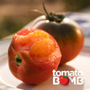 碱地番茄酸甜浓郁口感脆弹 建议生吃收到即食 绿色食品认证 圆通快递 商品缩略图6