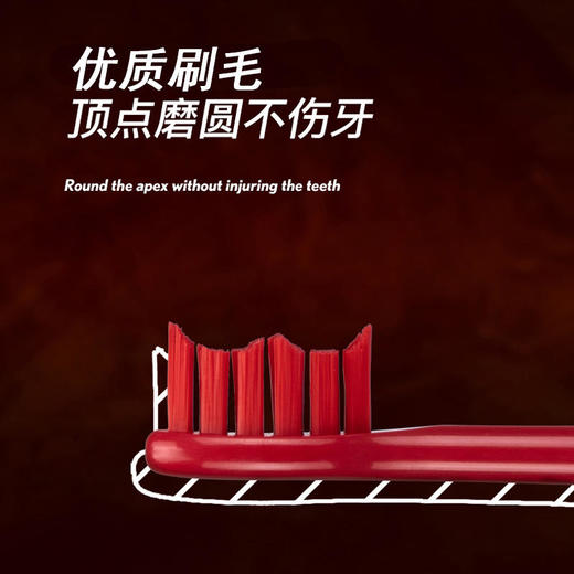 APIYOO荷兰艾优电动牙刷头sup替换头软毛限量款男女成人通用（3只装）【艾优】 商品图3