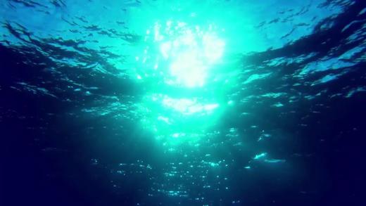 报名表 商品图0