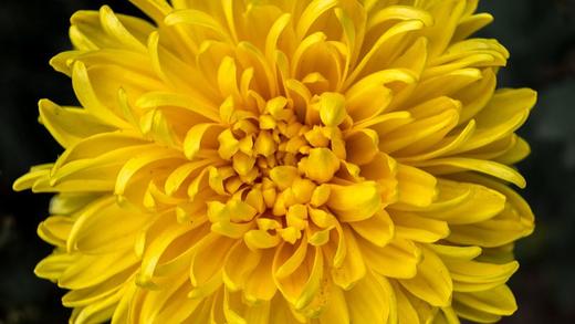 测试整单售后 商品图0