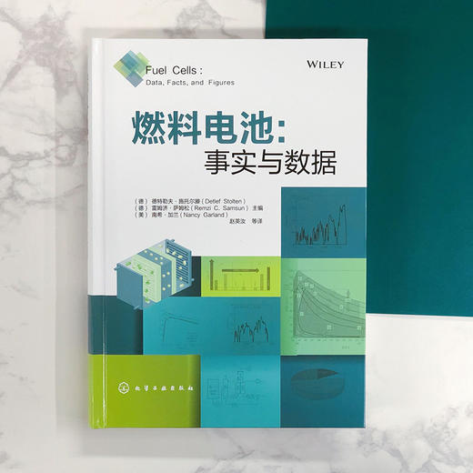 燃料电池：事实与数据 商品图1