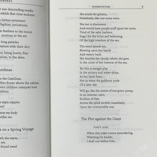 【中商原版】史蒂文斯诗集 普利策诗歌奖 英文原版 Wallace Stevens Collected Poems 商品图6