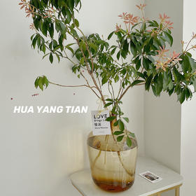 渐变玻璃窄口花器  · 艺术家居