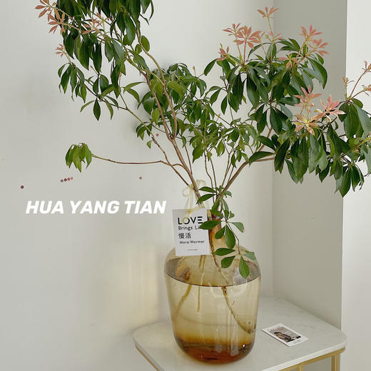 渐变玻璃窄口花器  · 艺术家居 商品图0