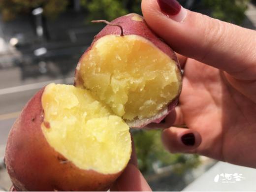 海南板栗地瓜5斤 商品图3