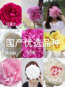 【预山东仓】顺丰空运包邮 | 国产优选【4.28左右开始发&可备注发货时间】