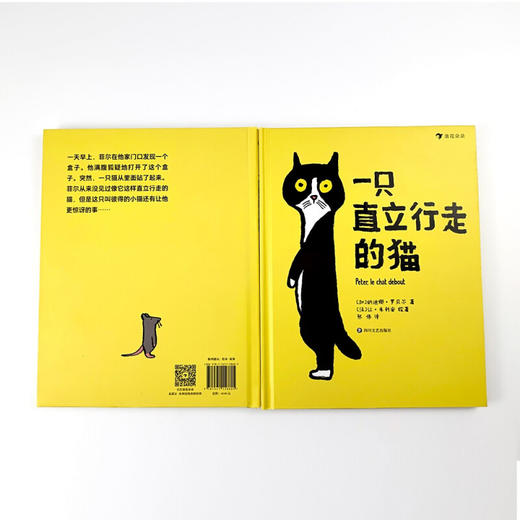 一只直立行走的猫3-6岁 一本让孩子跳脱标准的刻板印象用更加开放的心态看待世界的绘本 商品图1