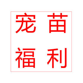 宠苗福利|一次性159款【下单前请先咨询客服款式库存】[福利品]