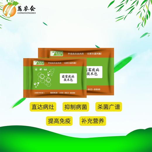 【农药】霜霉+疫病方案（可兑水300~350公斤） 商品图4