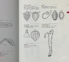 【中商原版】植物学图解词典 英文原版 A Botanist's Vocabulary Susan K. Pell Timber Press 黑白插图 科普书籍 商品缩略图6