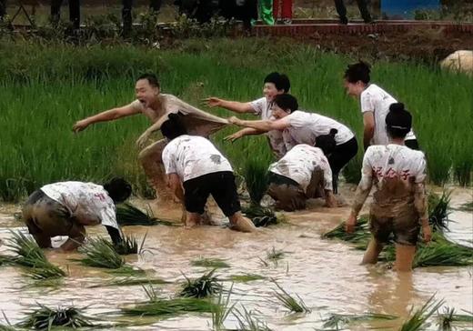 三峡归来田园门票 商品图4