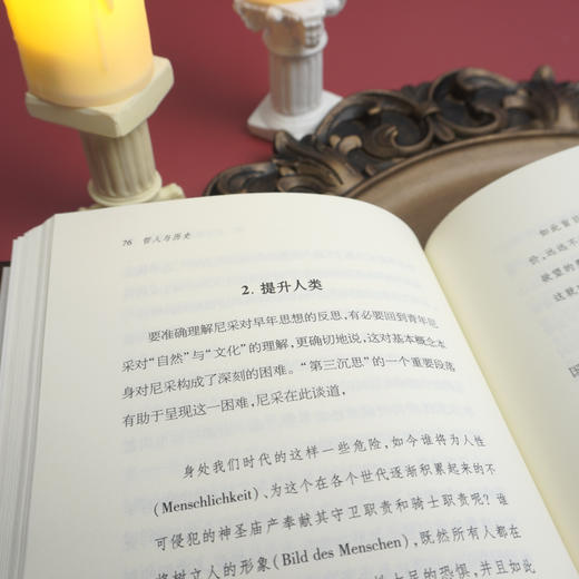 哲人与历史 现代政治思想中的历史意识 六点评论 刘振著 精装图书 商品图3
