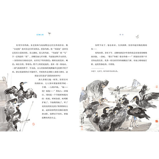 蓝调江南 商品图3