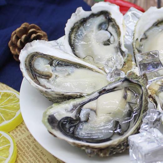 生蚝  5个/1斤 烧烤 商品图1
