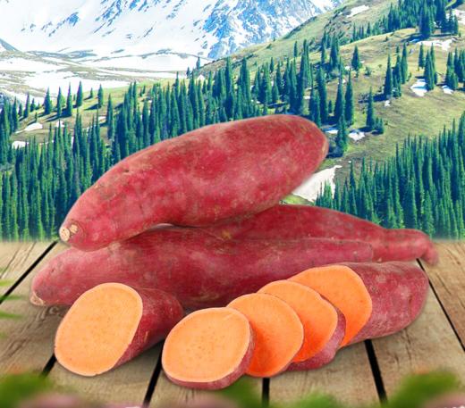 新疆天山小蜜薯 5斤/箱 生态种植 商品图1