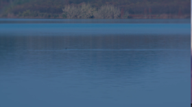 初见你的微笑（伴奏）—江豚