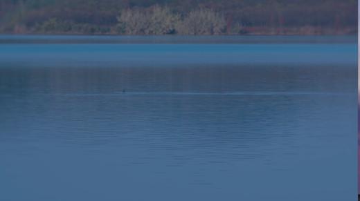 初见你的微笑（伴奏）—江豚 商品图0