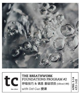2021 BREATHWORK FOUNDATIONS PROGRAM 呼吸技巧基础项目 Boundless Breathe 无界-呼吸